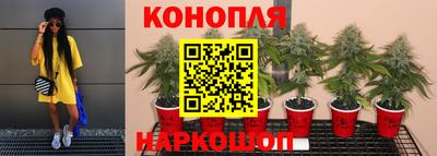 не бодяженный Новоалександровск