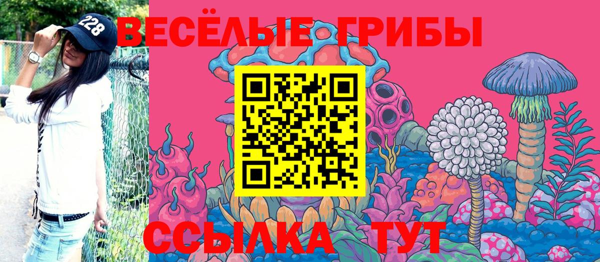 Псилоцибиновые грибы Psilocybine cubensis  Вход с VPN  Королёв  Псилоцибиновые грибы MAGIC MUSHROOMS 