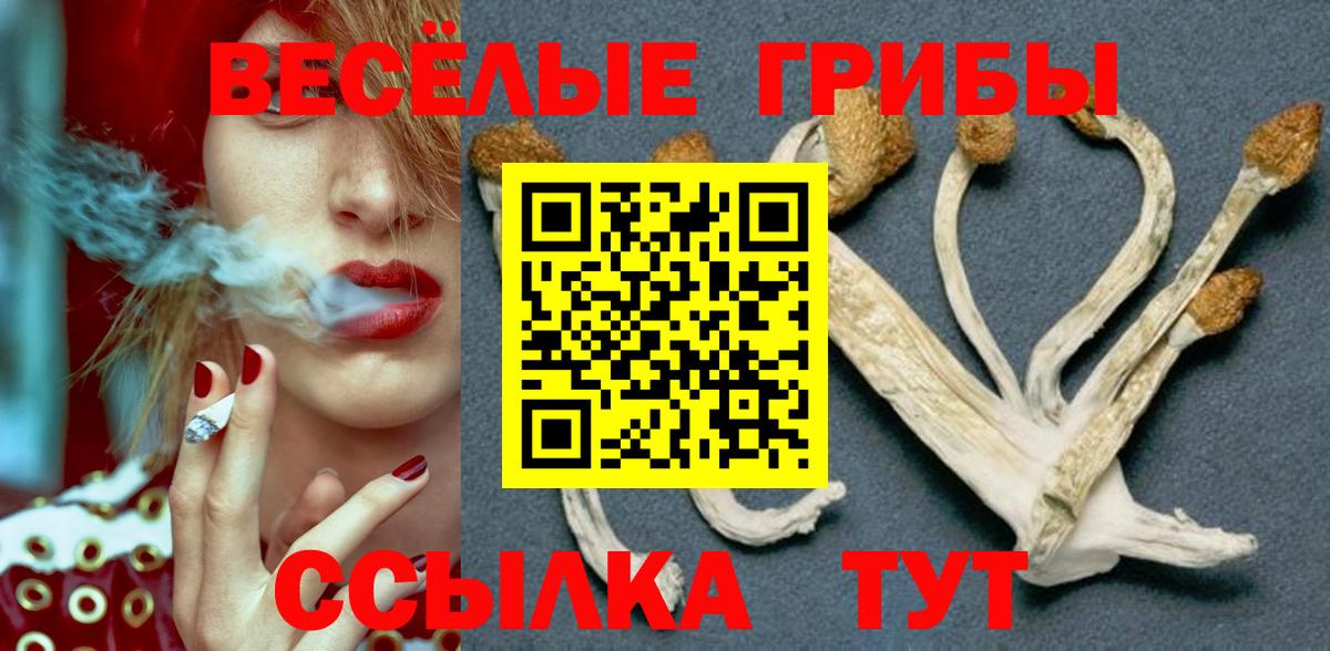 Галлюциногенные грибы мухоморы Королёв